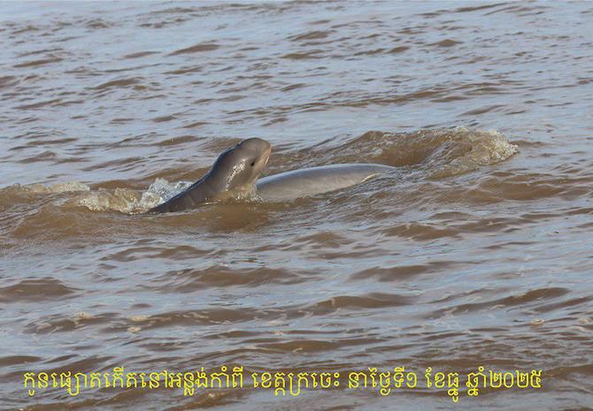 Actualités cambodgiennes de la semaine novembre 2025