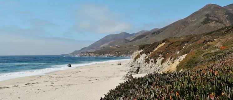 Bodega Bay - LPJ