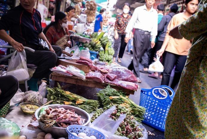 Braconnage d'oiseaux