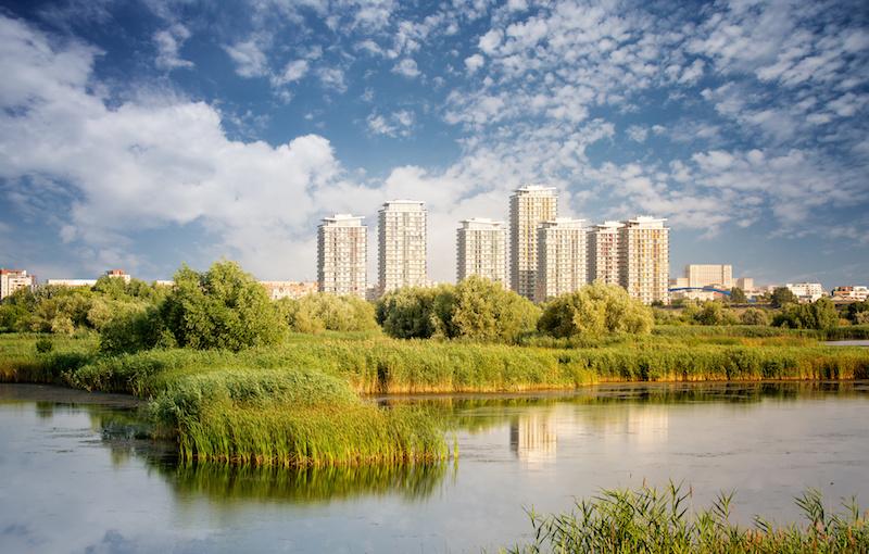 delta-bucarest-vacaresti-guide-observation-oiseaux