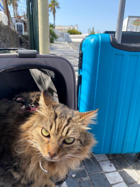 Voyage Bénin animal