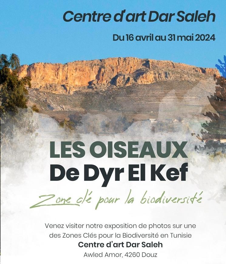 CENTRE DAR AL SALEH EXPO LES AMIS DES OISEAUX DYR EL KEF DOUZ TUNISIE