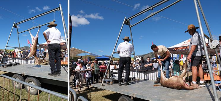 démonstration de dépecage d'un cerf à la foire de bourail