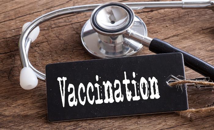 Vaccination voyage Asie Sud Est