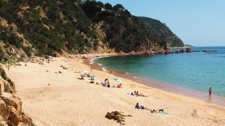 Photo de la plage Cala del Senyor Ramon