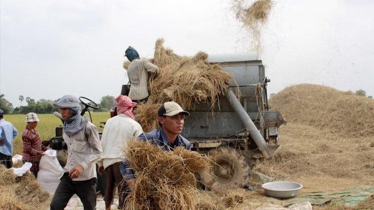 Actualités cambodgiennes de la semaine novembre 2025