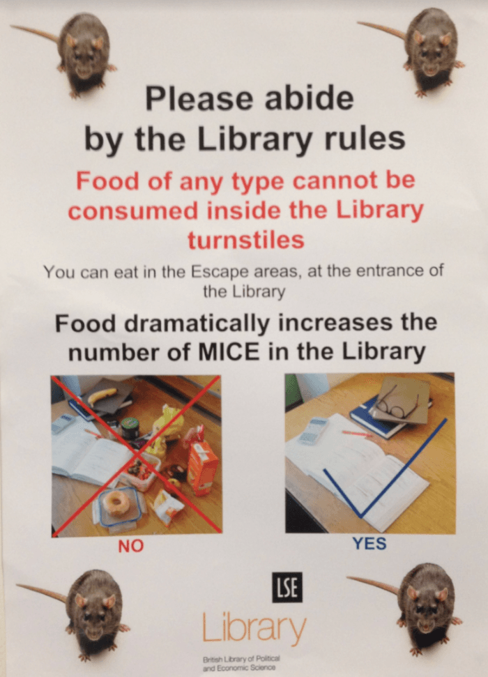 souris rongeurs universités