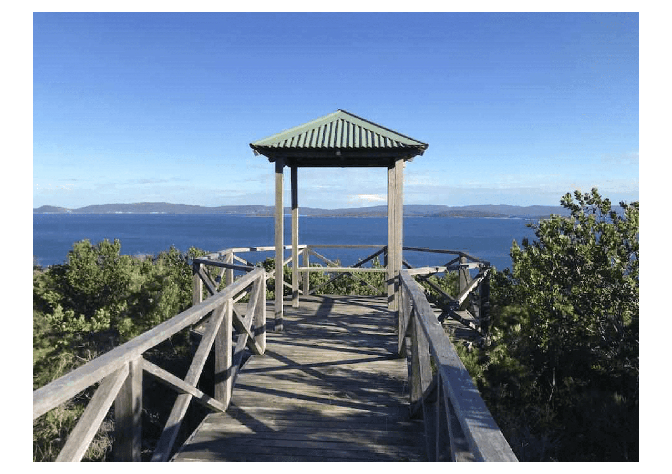 Mt Martin Botanical Reserve hiking