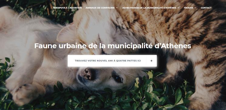 refuge animaux Grèce