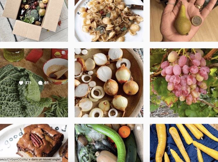 Oddbox compte instagram