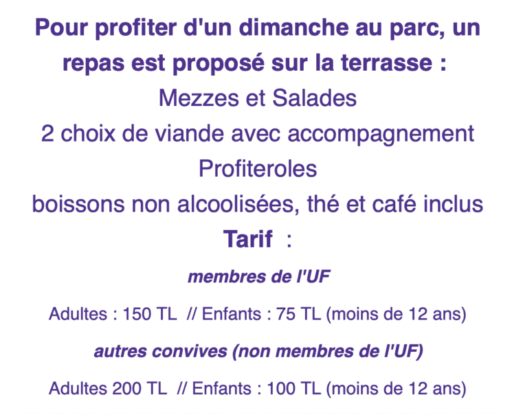 vide grenier Union française istanbul