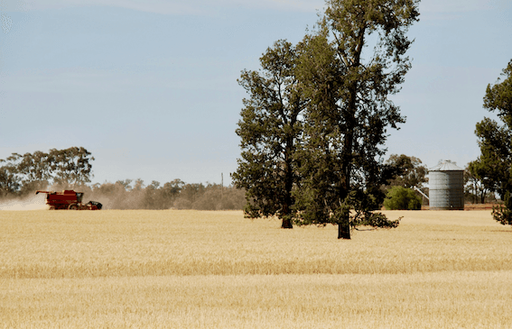 Image de David Maunsellsur Unsplash. Aujourd’hui certains employeurs exploitent certaines zones d’ombre autour de l’extension de visa pour contourner les règles.