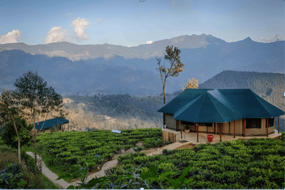 Membre de la collection TemptingPlaces, Madulkelle Tea & Ecolodge – Kandy – Sri Lanka – Copyright Madulkelle