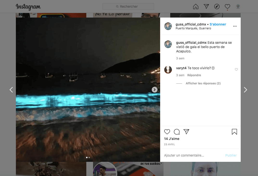 Bioluminescence @guss_official_cdmx