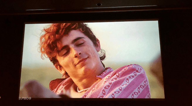 Timothée Chalamet dans Bones And All