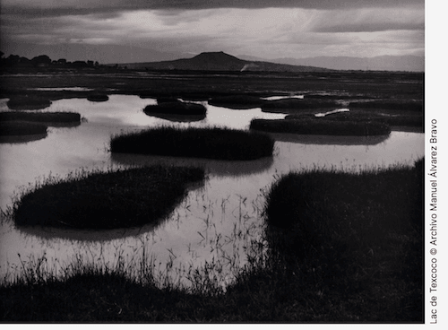 Manuel Alvarez Bravo, photographe mexicain