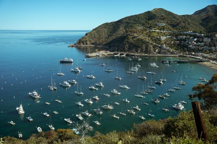 Catalina © DR