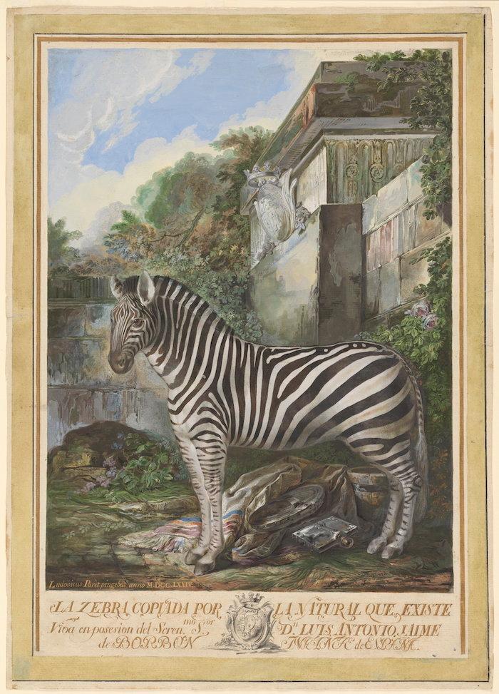 le Zebre, de Luis Paret, au Prado
