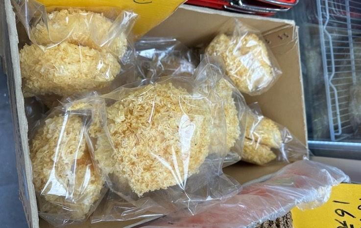 Champignons trémelles. © Laureen Duchesne