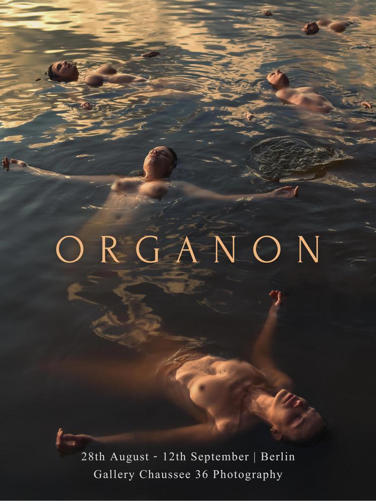 Affiche exposition Organon