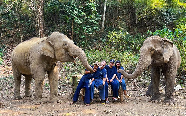 Des elephants jouent avec des visiteurs dans un sanctuaire ecoresponsable du nord de la Thailande