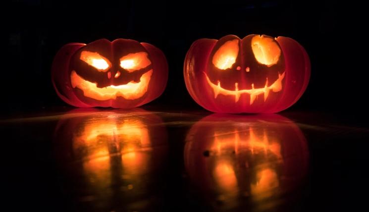 Des citrouilles scultées pour Halloween