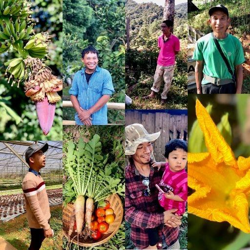 cultivateurs en asie