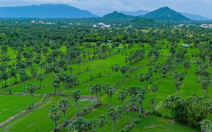 Công Mao - Linh Thao/VNA/CVN