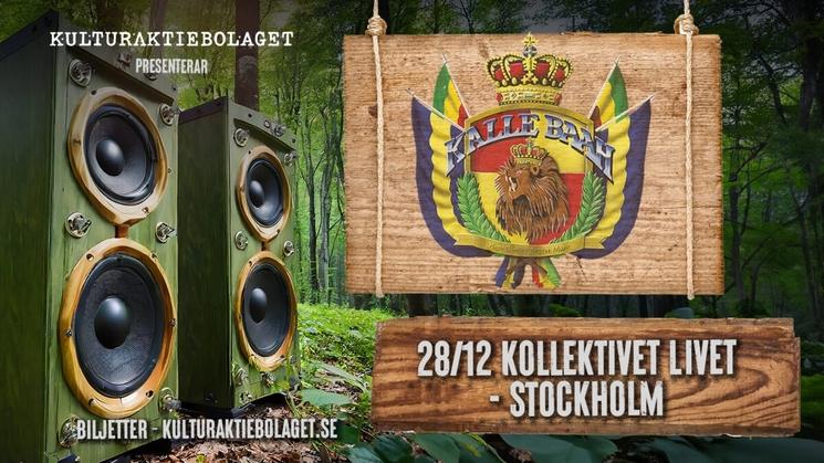 Concert reggae suédois