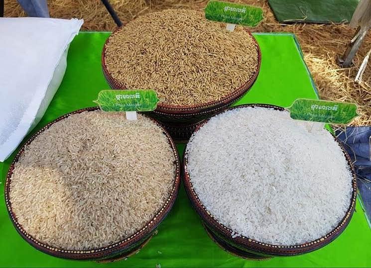 Actualités cambodgiennes de la semaine