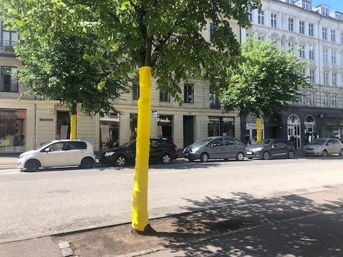 Tour de France départ Copenhague 2022