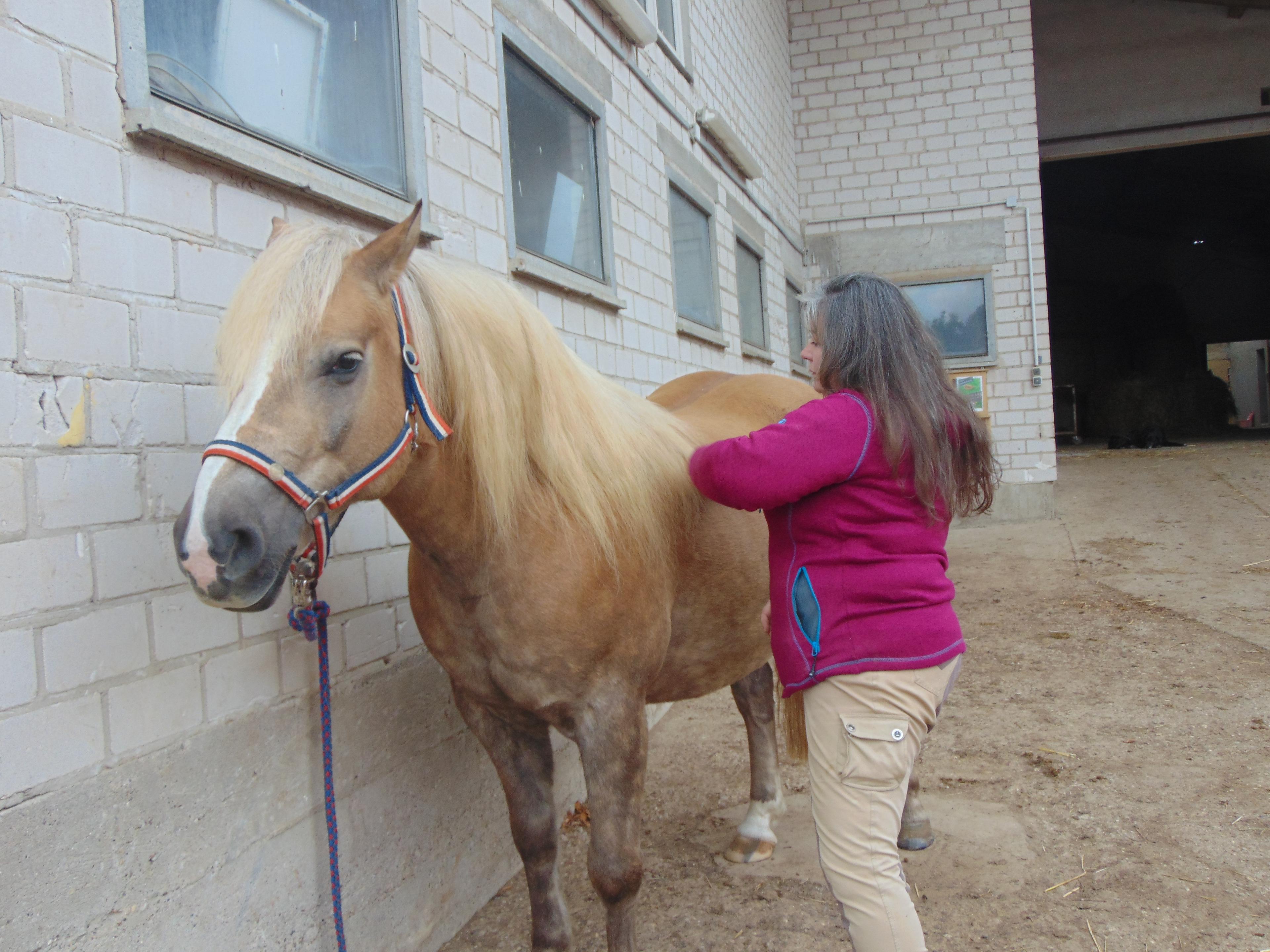 Corinne Fauquet équithérapeuthe