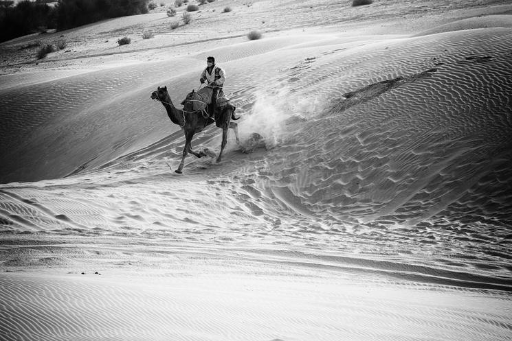 thar désert india inde voyage