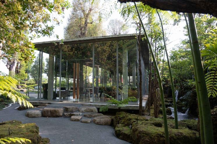 Parc arbres Chiang Mai