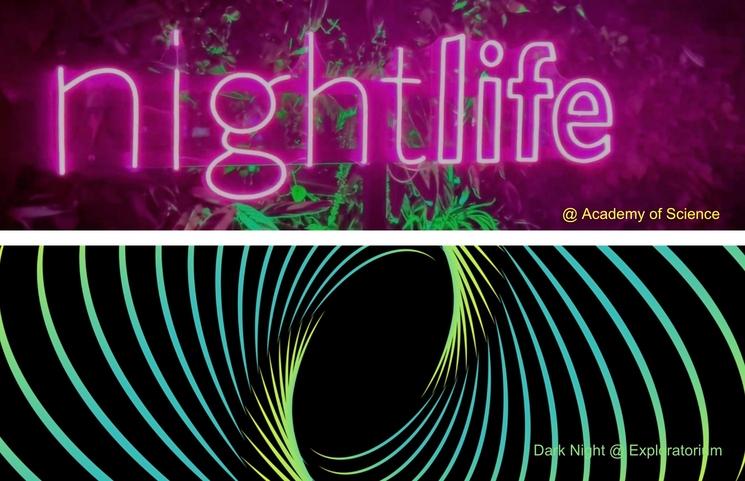 Affiche Academy des sciences San Francisco