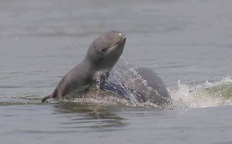Actualités cambodgiennes de la semaine