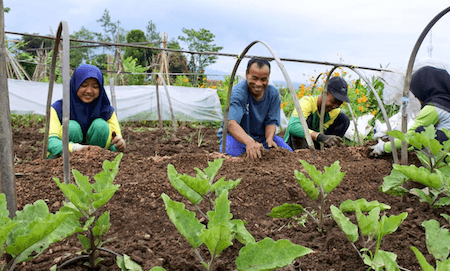 De la ferme à la table. Crédit @YUM