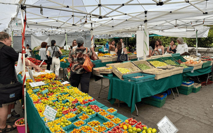Du champs à l’étal, les légumes du marché à leur meilleur