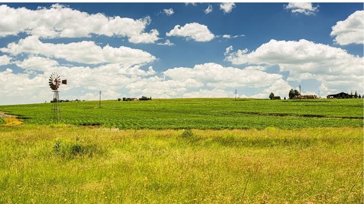 champs agricoles bien vert