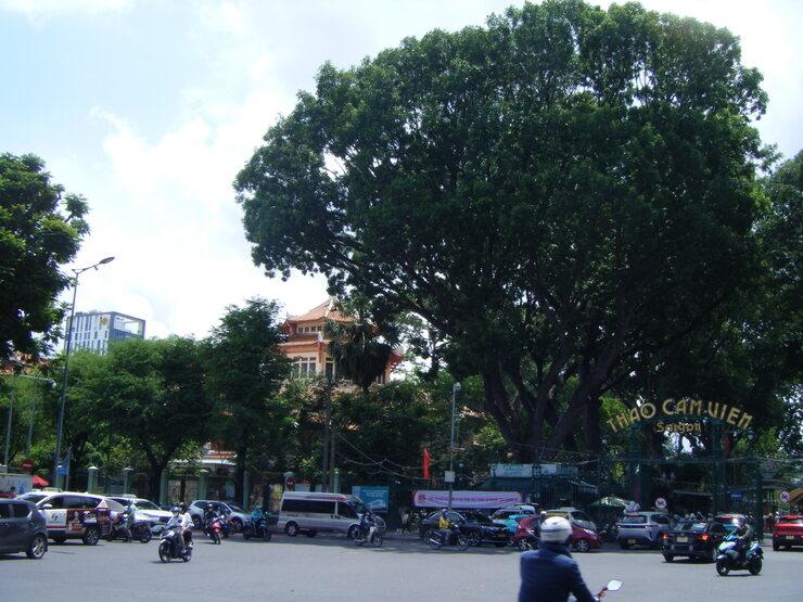 Dès la rue Lê Duẩn qui mène directement au zoo, la verdure s’installe déjà, tandis que la magie du Zoo de Hô Chi Minh-Ville réside dans son passé vivant.