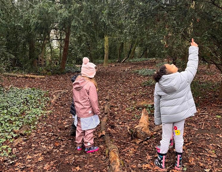 Deux filles en pleine immersion dans la nature grâce à la forest school de l'Ecole des Petits