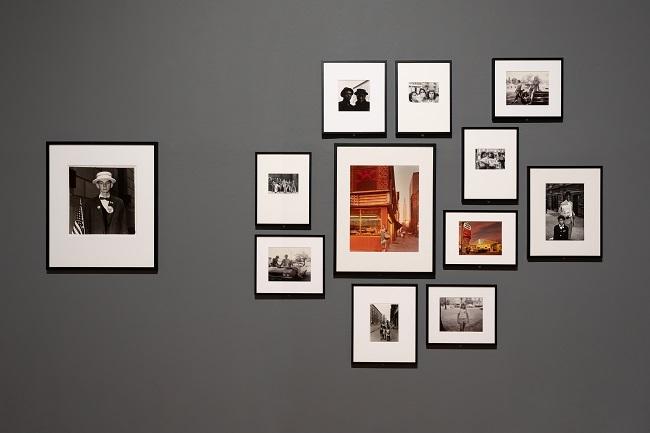 vue d'exposition Collection