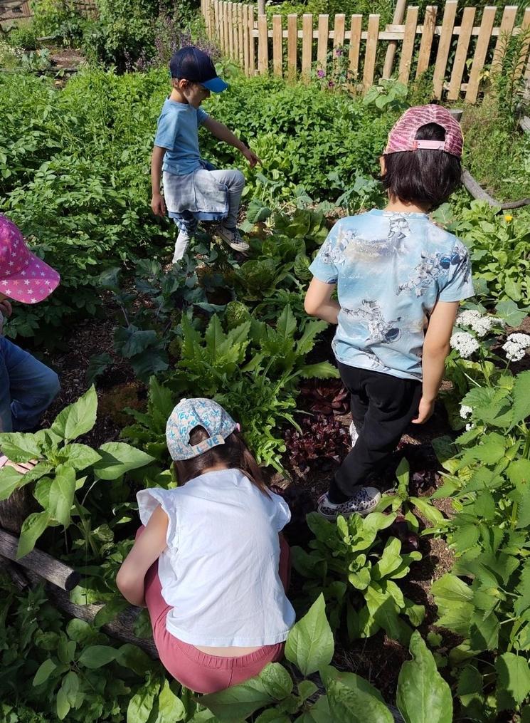 Des enfants marchant dans le potager de Pinke Panke