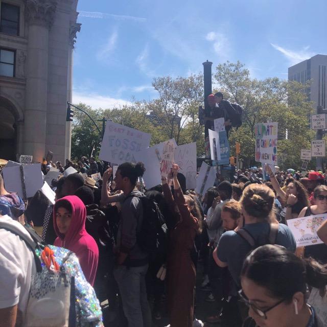 Climate strike new york