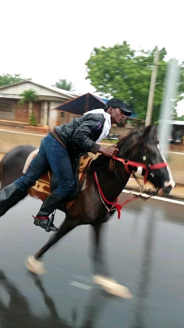 Cavalier Bénin équitation