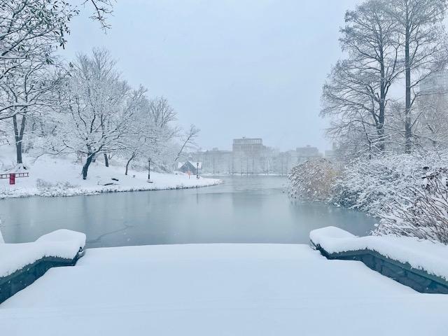 Tempête de neige New York