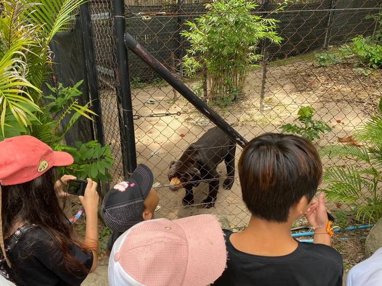 Enfants AEFC visitant Free the bears