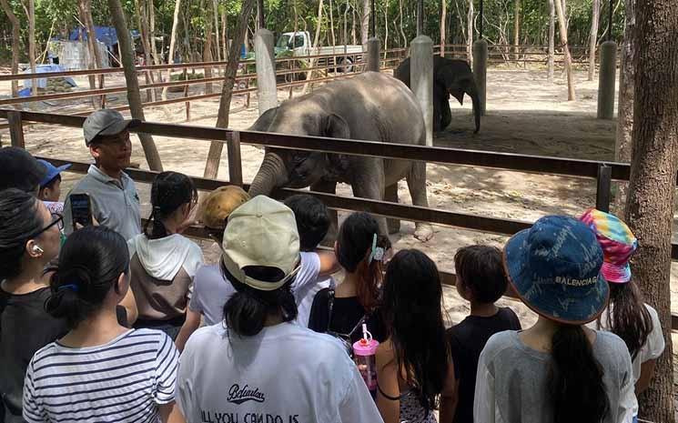 Enfants AEFC visitant Free the bears