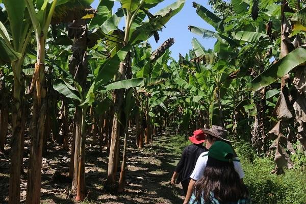 Envol Vert : une connexion interculturelle pour protéger la biodiversité