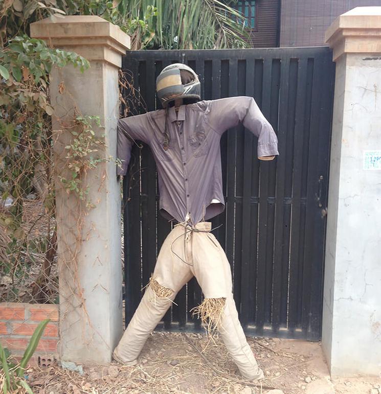 Timong, sorte d'épouvantail à virus